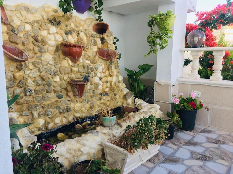 بيت العُمري أم قيس المظهر الخارجي الصورة